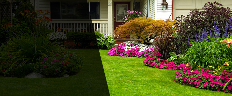 Porterville Landscapers