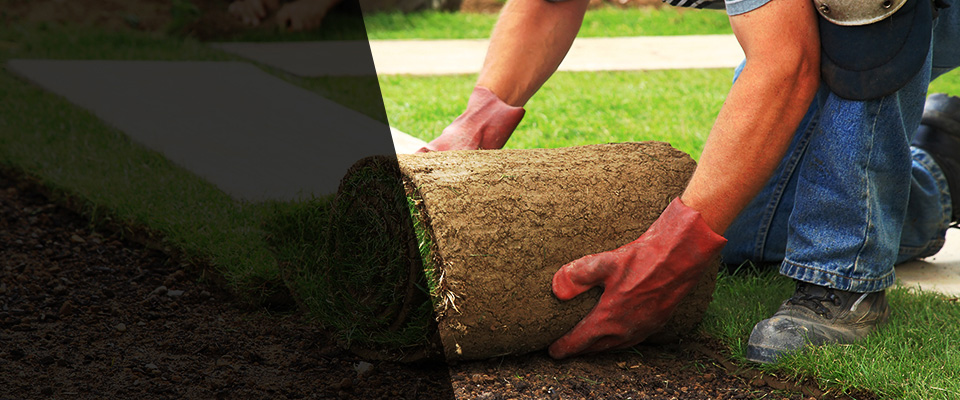 Porterville Landscapers